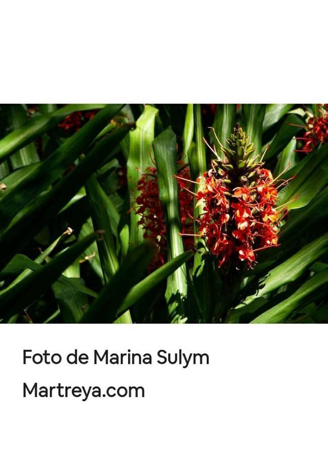 Jardin De Naipi Apartment Puerto Iguazu Bagian luar foto