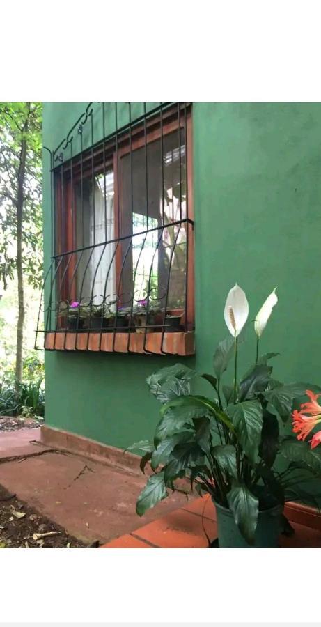 Jardin De Naipi Apartment Puerto Iguazu Bagian luar foto
