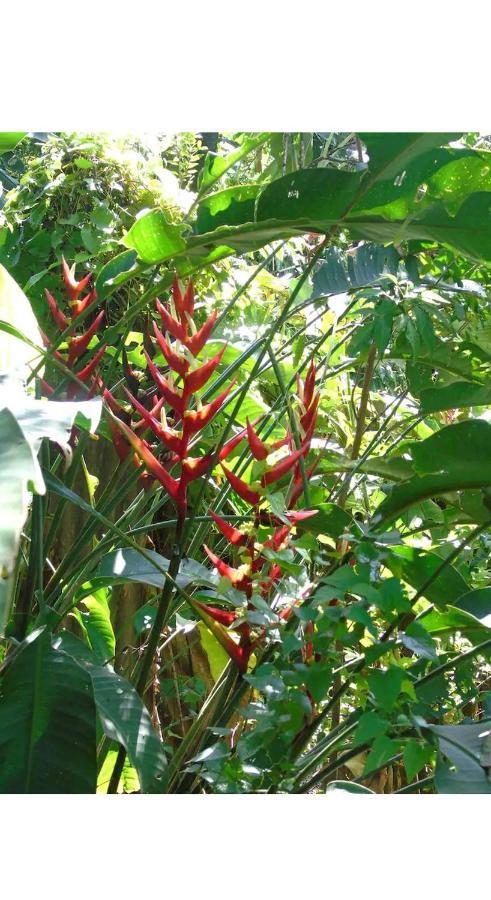 Jardin De Naipi Apartment Puerto Iguazu Bagian luar foto